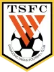 Logo Shandong Taishan FC